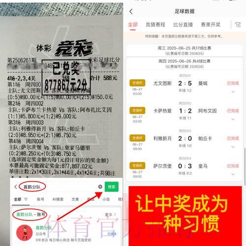 全面剖析世界杯竞猜平台的利与弊